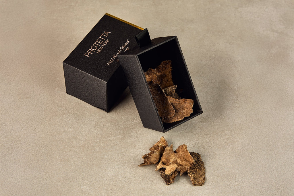 Oud Wood - PROTETTA